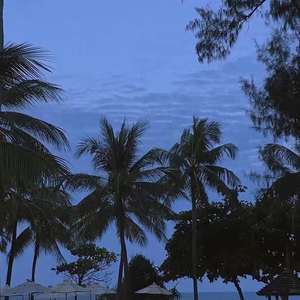 男人强入女人下体动漫视频
